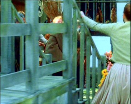 PDVD_1052.jpg