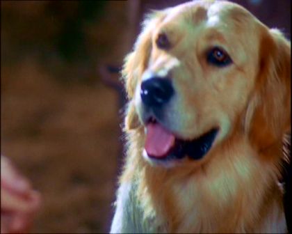PDVD_1129.jpg