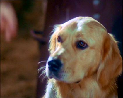 PDVD_1130.jpg