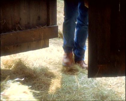 PDVD_1288.jpg