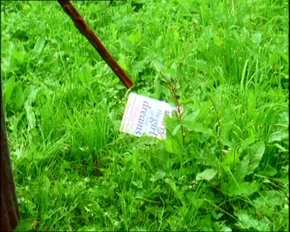 PDVD_1460.jpg