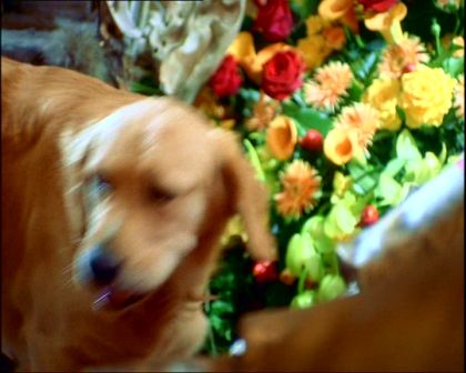 PDVD_1495.jpg
