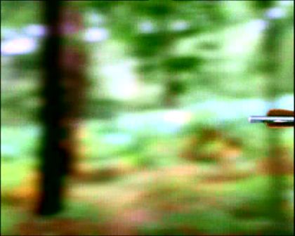 PDVD_254.jpg