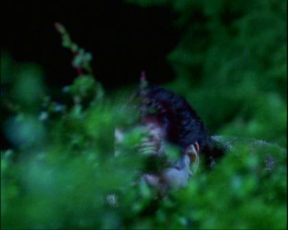 PDVD_681.jpg