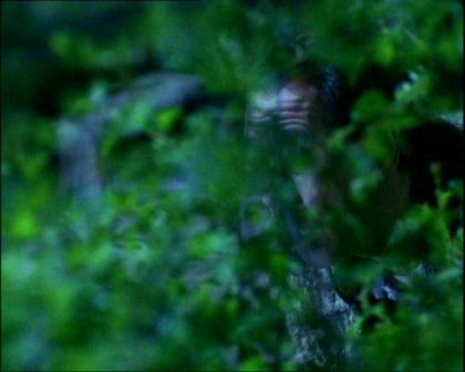PDVD_684.jpg