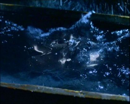 PDVD_754.jpg