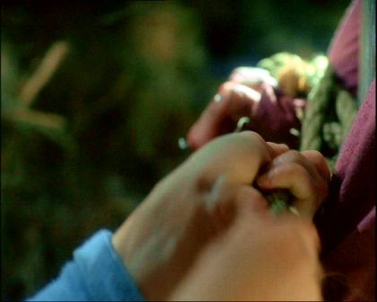 PDVD_785.jpg