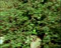 PDVD_886