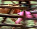 PDVD_989
