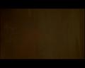 PDVD_1255