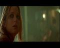 PDVD_1338