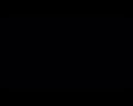 PDVD_1613
