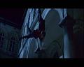 PDVD_1653