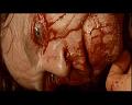 PDVD_2114