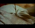 PDVD_247