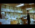 PDVD_377