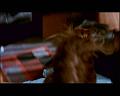 PDVD_665