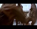 PDVD_973