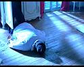 PDVD_1053