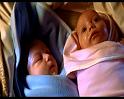 PDVD_1137