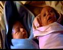 PDVD_1151