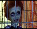 PDVD_134