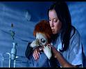 PDVD_1340
