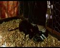 PDVD_148