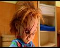 PDVD_501