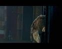 PDVD_1187