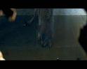 PDVD_1192