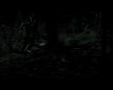 PDVD_1619
