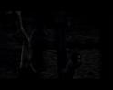 PDVD_1642