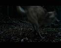 PDVD_1661