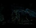 PDVD_1665