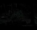 PDVD_1677