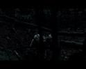 PDVD_1688
