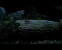PDVD_1693