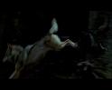 PDVD_1710