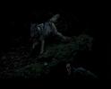 PDVD_1712