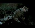 PDVD_1721