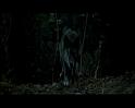 PDVD_1724