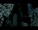 PDVD_1725