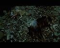 PDVD_1728