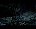 PDVD_1734