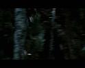 PDVD_1745