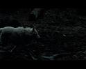 PDVD_1747