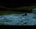 PDVD_1749