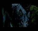PDVD_1750