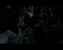 PDVD_1762